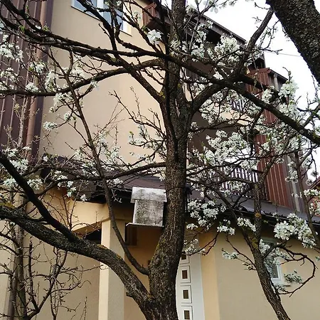 Appartement Jasmina