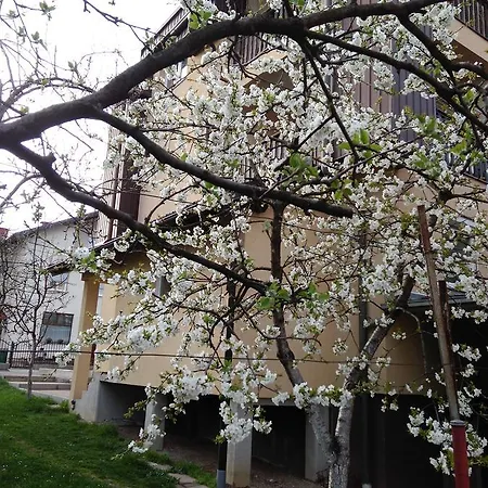Jasmina Appartement Bihać