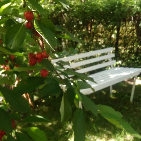 Appartement Jasmina Bihać